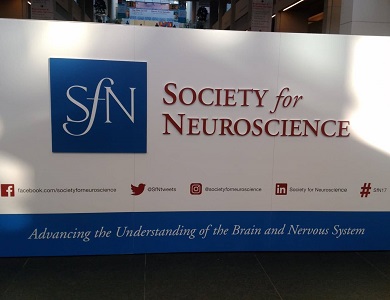 北米神経学学会SfN(Society for Neuroscience)01